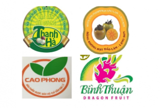 Pháp luật về Bảo hộ Chỉ dẫn địa lý: Một số kiến nghị sửa đổi, bổ sung